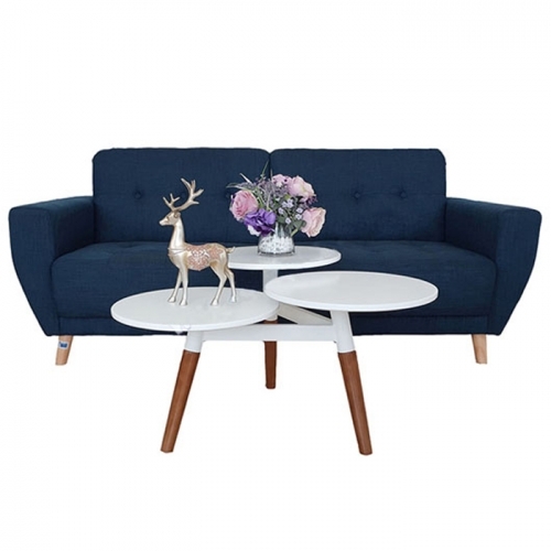 Bàn Sofa Gia Đình BBSF20