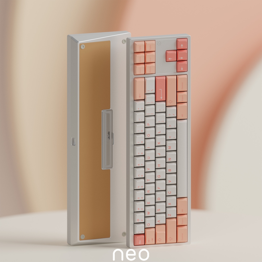 [In stock] Neo70 case