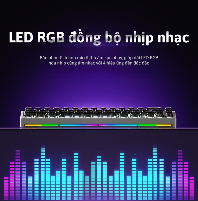 Nut65 - Kit bàn phím cơ nhôm 3 mode LED RGB