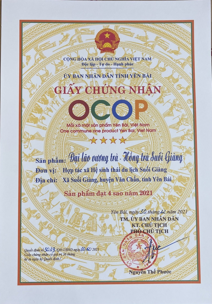 TRÀ SHAN TUYẾT CỔ THỤ - HỒNG TRÀ 85G