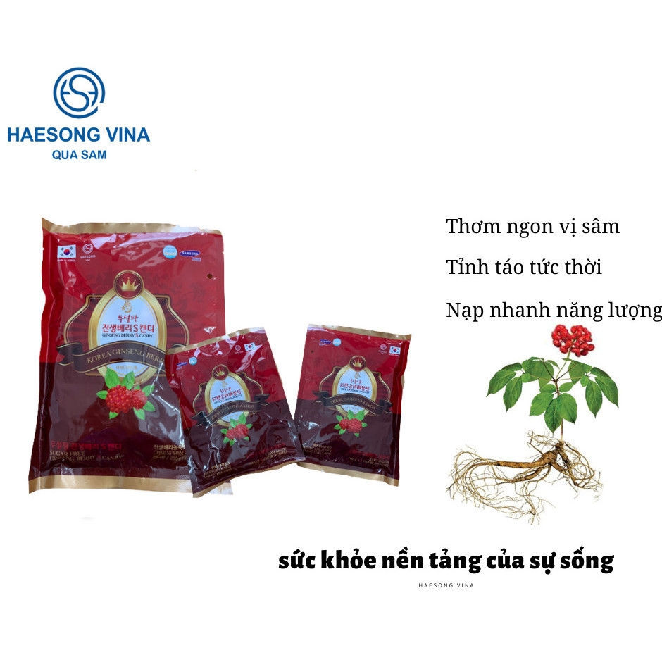 Kẹo Quả Sâm Không đường - Free Suger Ginseng Berry S candy