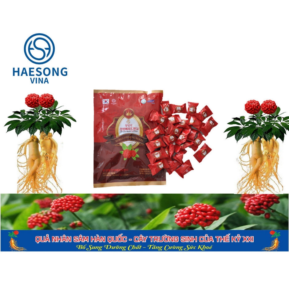 Kẹo Quả Sâm Không đường - Free Suger Ginseng Berry S candy