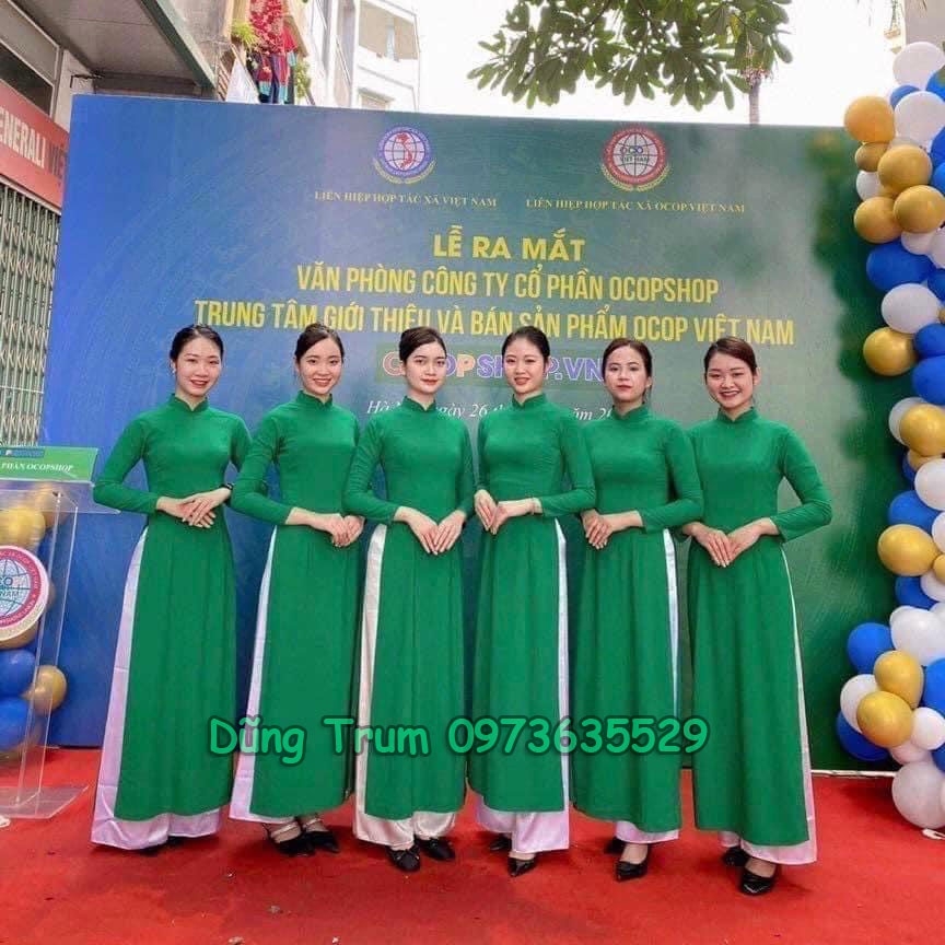 Áo dài cách tân Combo 10 bộ biểu diễn cho đoàn nhóm