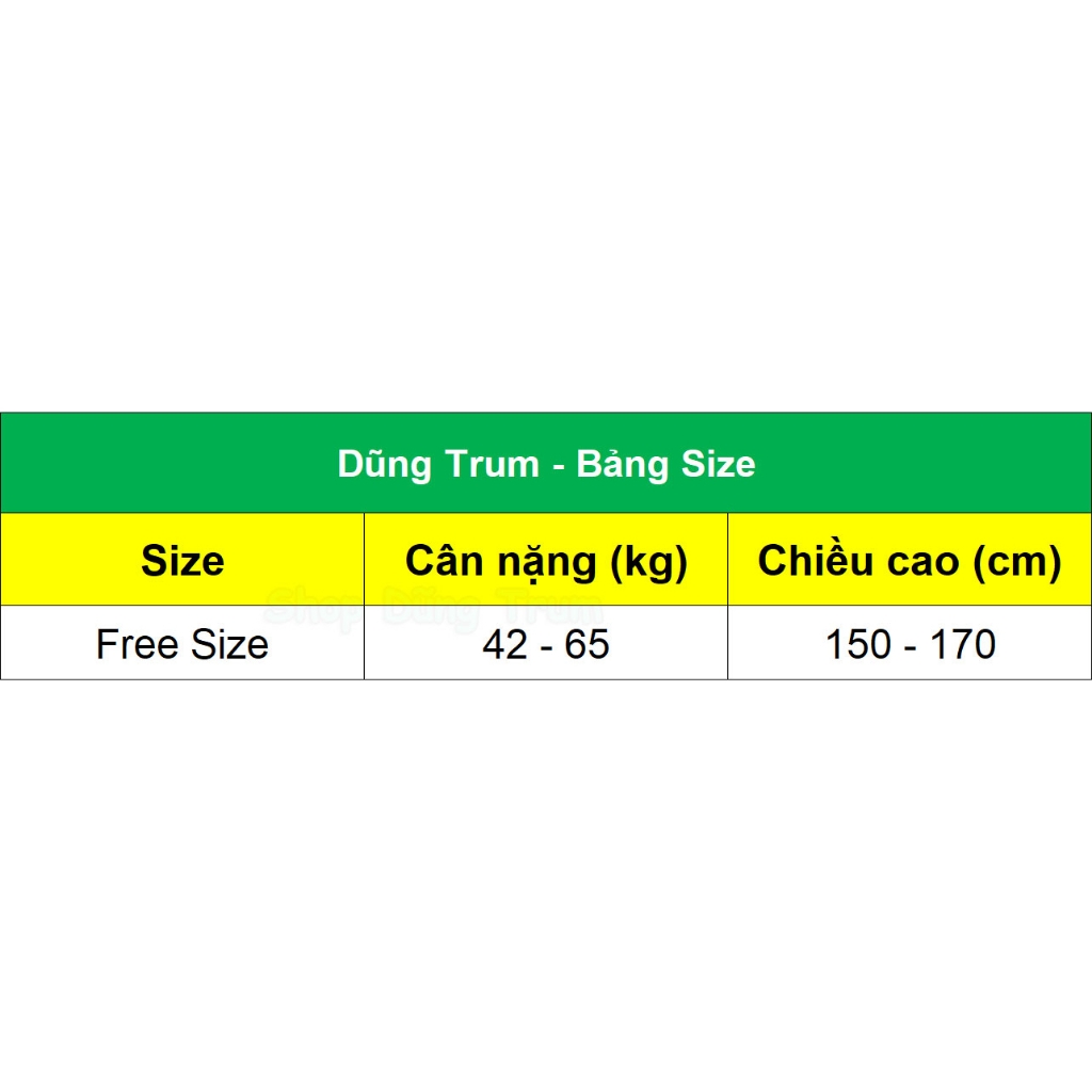 Trang phục múa Ấn Độ người lớn mẫu Váy kết hợp Áo yếm