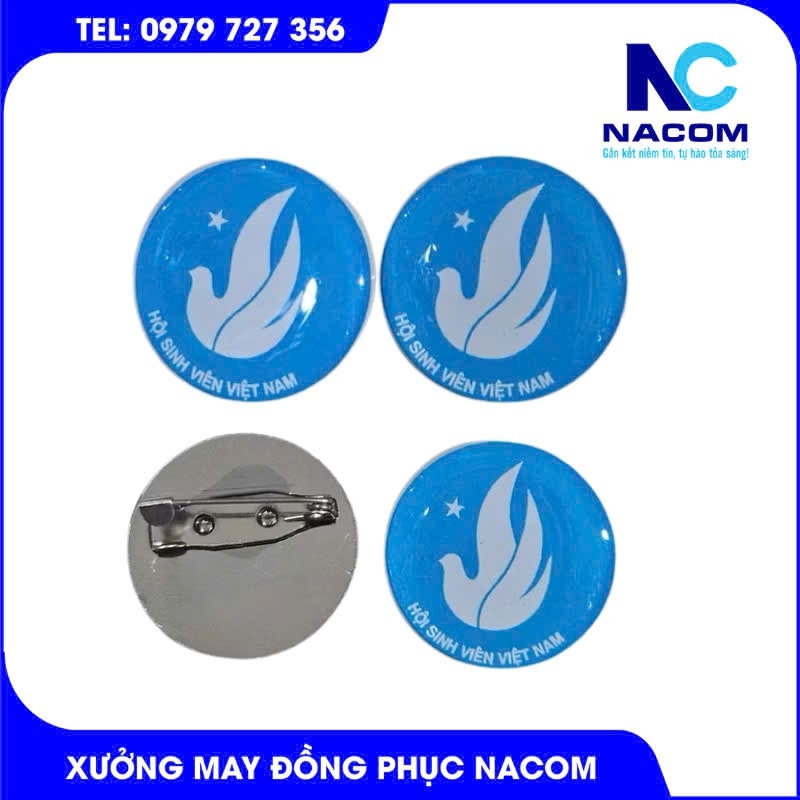 Huy hiệu đoàn thanh niên Việt Nam