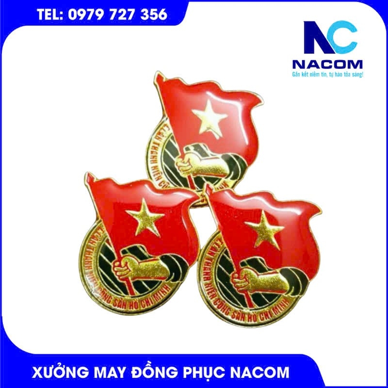 Huy hiệu đoàn thanh niên Việt Nam