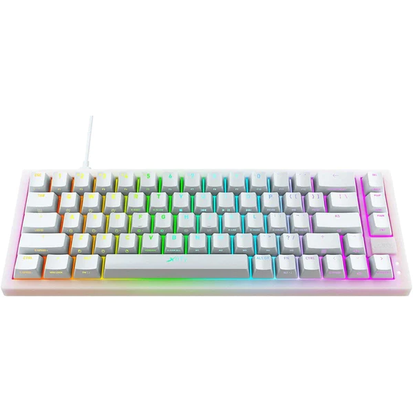 Bàn phím cơ CHERRY Xtrfy K5 Compact RGB - 65%