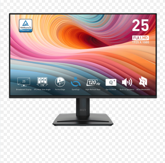 Màn Hình MSI PRO MP251L E2 (24.5