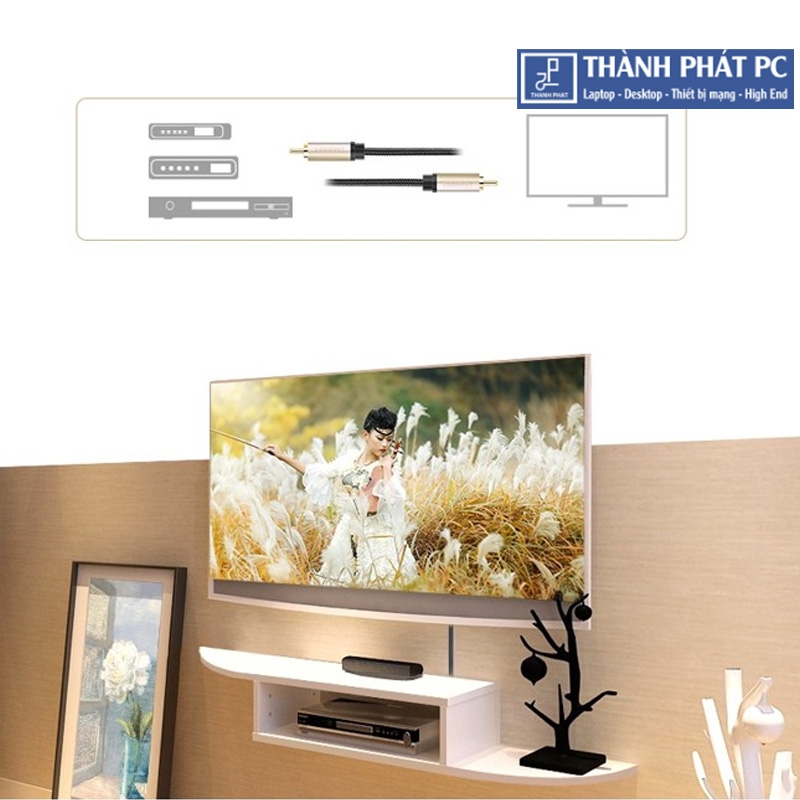 Cáp âm thanh số Coaxial 10m Ugreen 20742