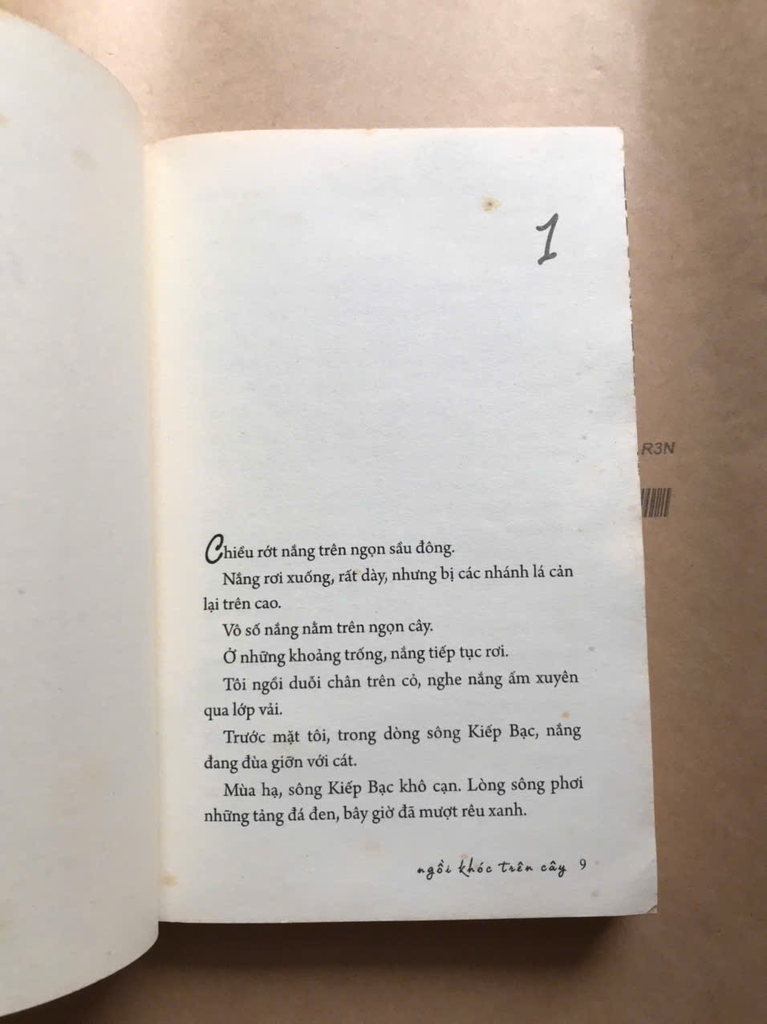 Ngồi Khóc Trên Cây