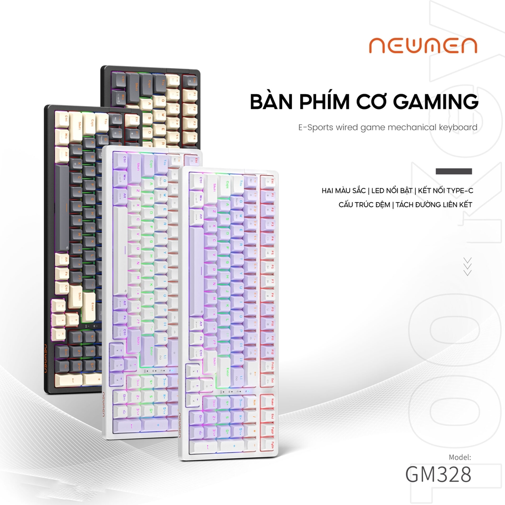 Bàn Phím Cơ Gaming Newmen GM328