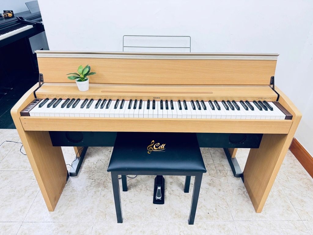 Piano điện Casio PS3000