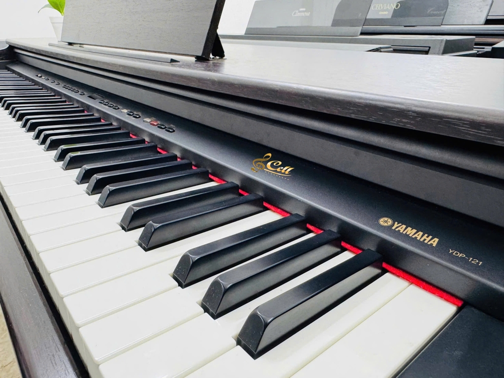 Piano điện Yamaha YDP121