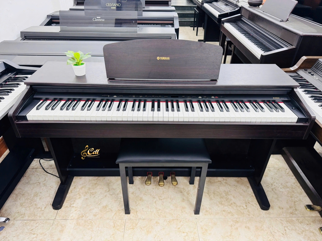 Piano điện Yamaha YDP121