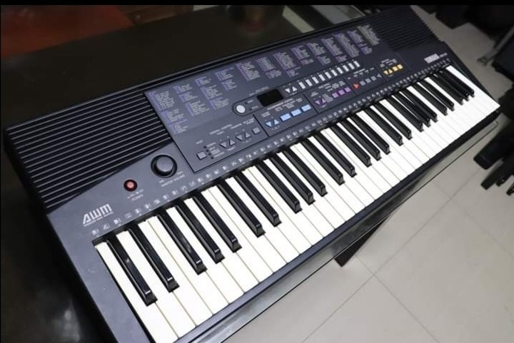 Organ Yamaha PSR210