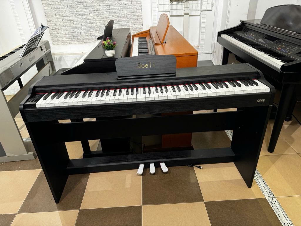 Đàn Piano điện Sceli CE88