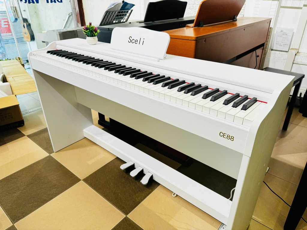 Đàn Piano điện Sceli CE88