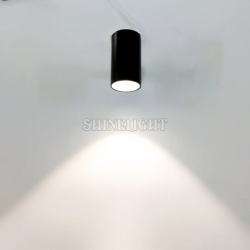 ĐÈN CHIẾU CÂY SLT12
