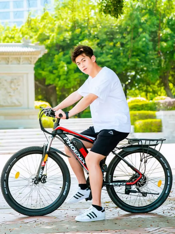 xe đạp trợ lực điện Phoenix