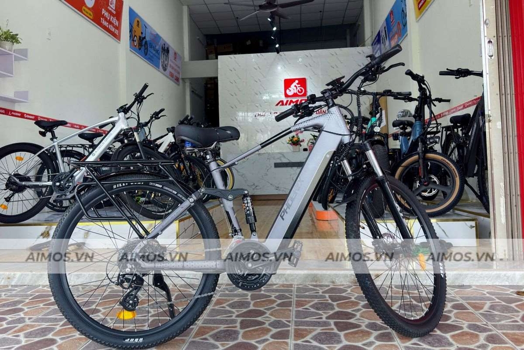 Xe đạp trợ lực điện là phương tiện tiện lợi, không yêu cầu bằng lái và phù hợp với nhiều độ tuổi