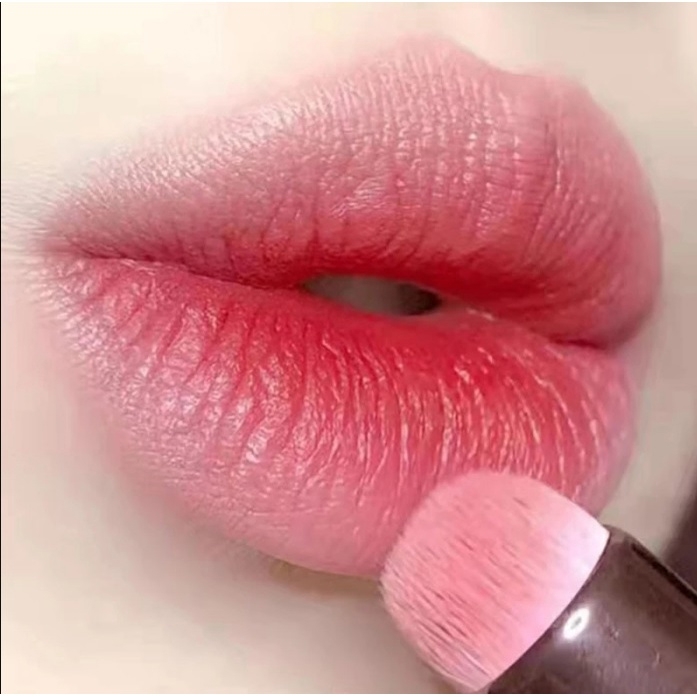 Cọ Trang Điểm Môi, Che Khuyết Điểm Đầu Tròn Đa Chức Năng