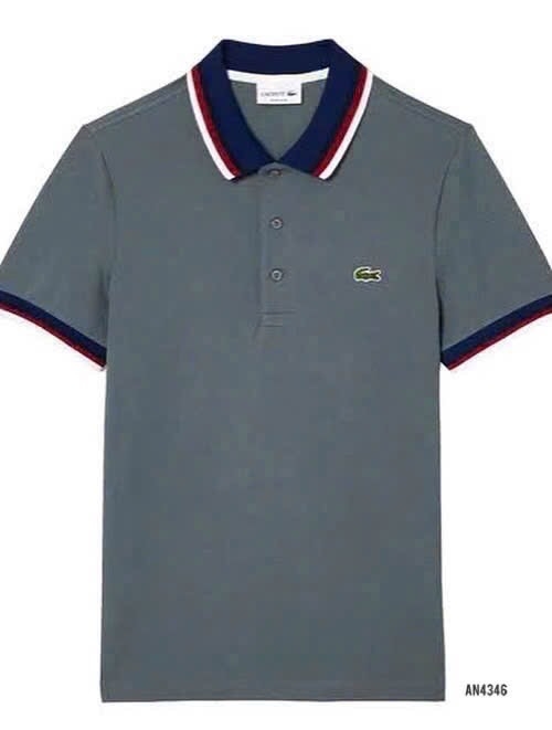 ÁO POLO THÊU CÁ SẤU CỔ VIỀN TRẮNG NAM