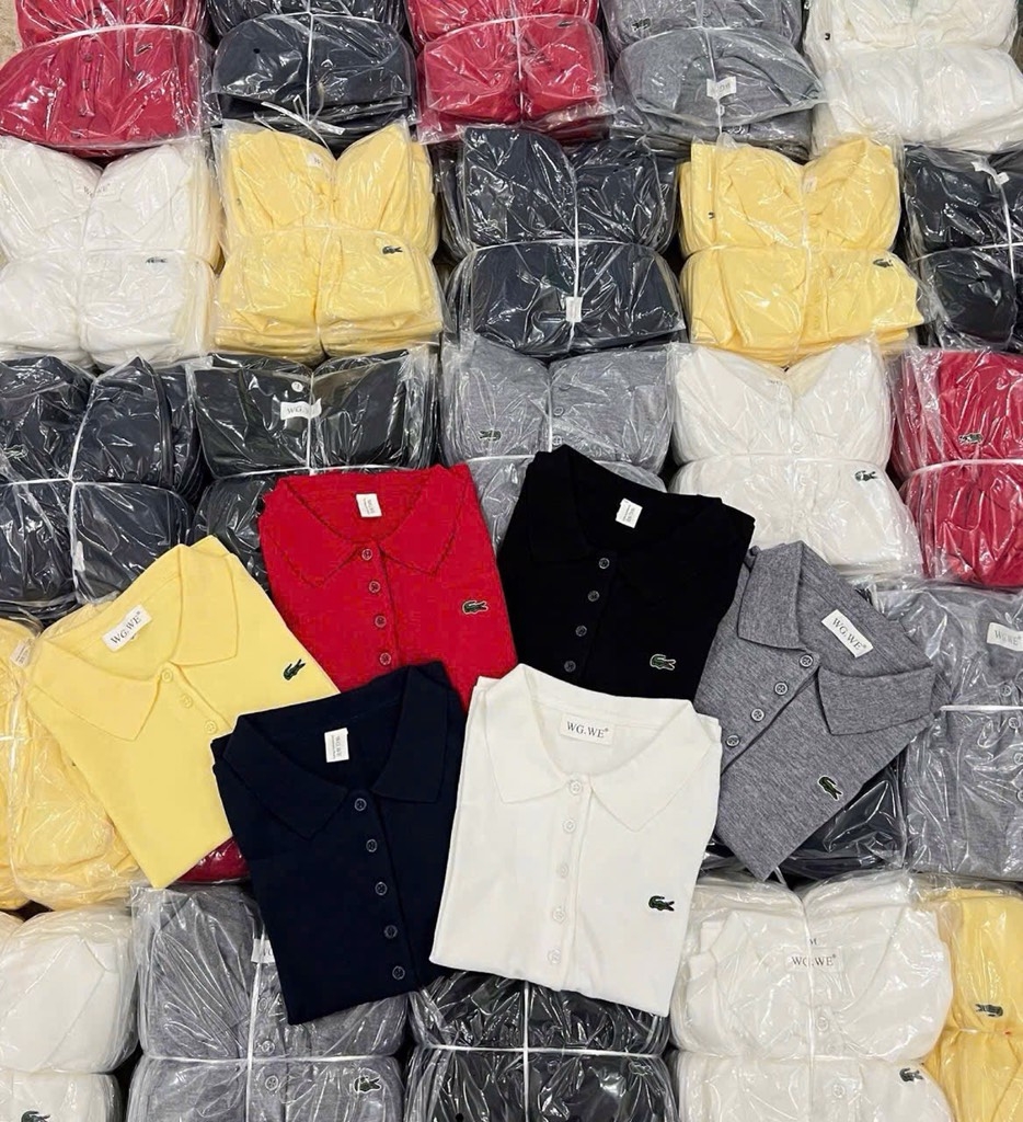 ÁO POLO CÁ XẤU NHIỀU MÀU NỮ