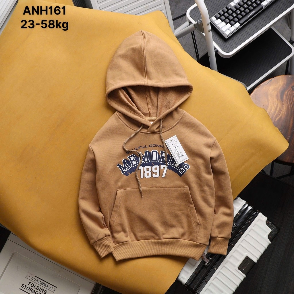ÁO NỈ HOODIE THỜI TRANG BÉ TRAI BÉ GÁI ĐẠI