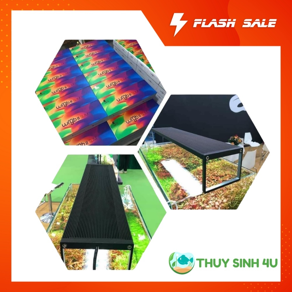 Đèn Chihiros Wrgb 2 Slim cho bể thủy sinh cá cảnh