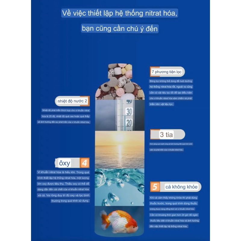 Vi sinh sống Biozym N1 đậm đặc và siêu mạnh