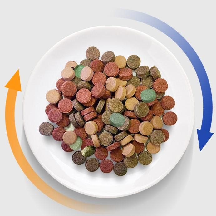 Thức ăn Biozym Red Worm Tab – viên dán sâu đỏ