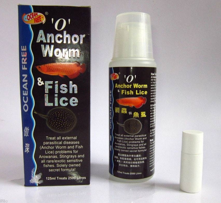 Chai số 0 xử lý rận nước và trùng mỏ neo cá Rồng