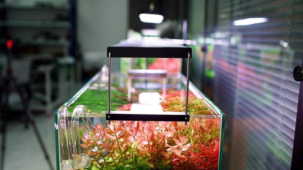 Đèn thuỷ sinh Chihiros WRGB 2 giá rẻ chính hãng