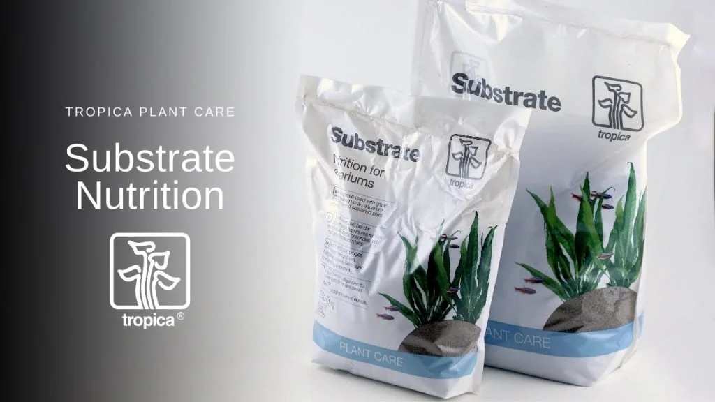 Cốt nền Tropica - Substrate (Bao 5 Lít, Bao 2,5 Lít) chính hãng