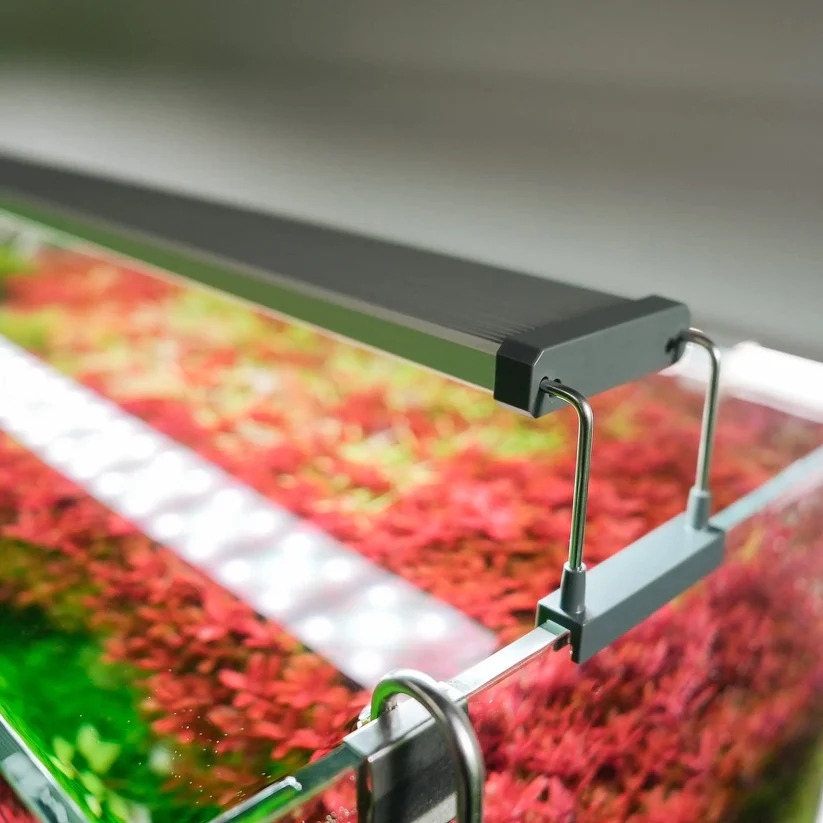 Đèn thủy sinh Chihiros B Series  Chỉnh APP  Điểm LED RGB  Bảo hành 6 tháng