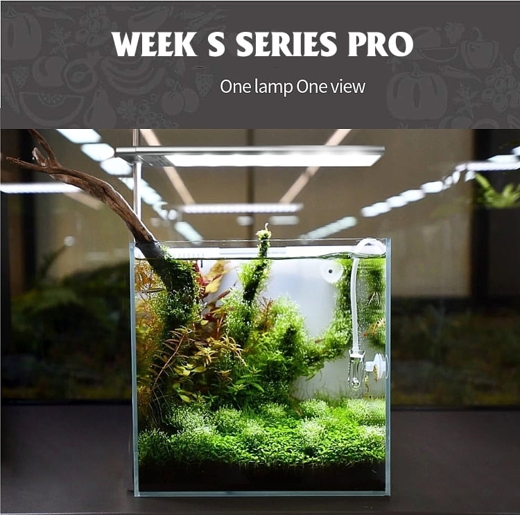 Đèn Week S Series Pro chính hãng