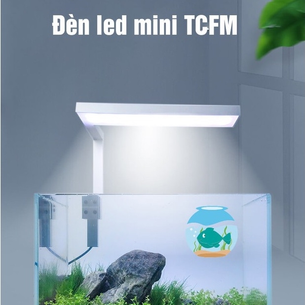 Đèn thủy sinh TCFM – Frok cho bể cá, hồ thủy sinh mini