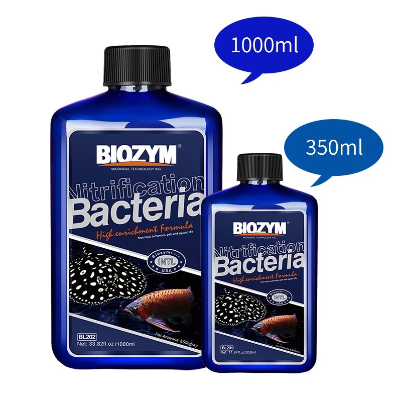Vi sinh sống Biozym Bacteria For Arowana - cho cá Rồng và cá săn mồi