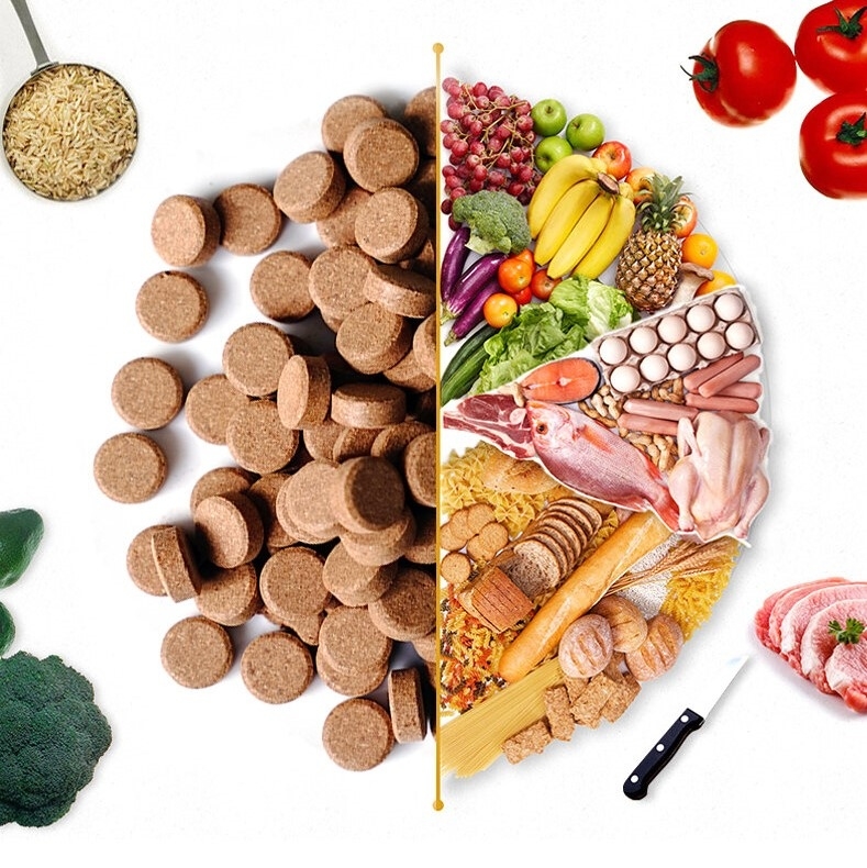 Thức ăn viên dán Biozym Tropical Fish Food cho cá thủy sinh