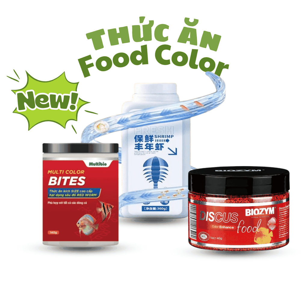Combo thức ăn cá cảnh Food Color