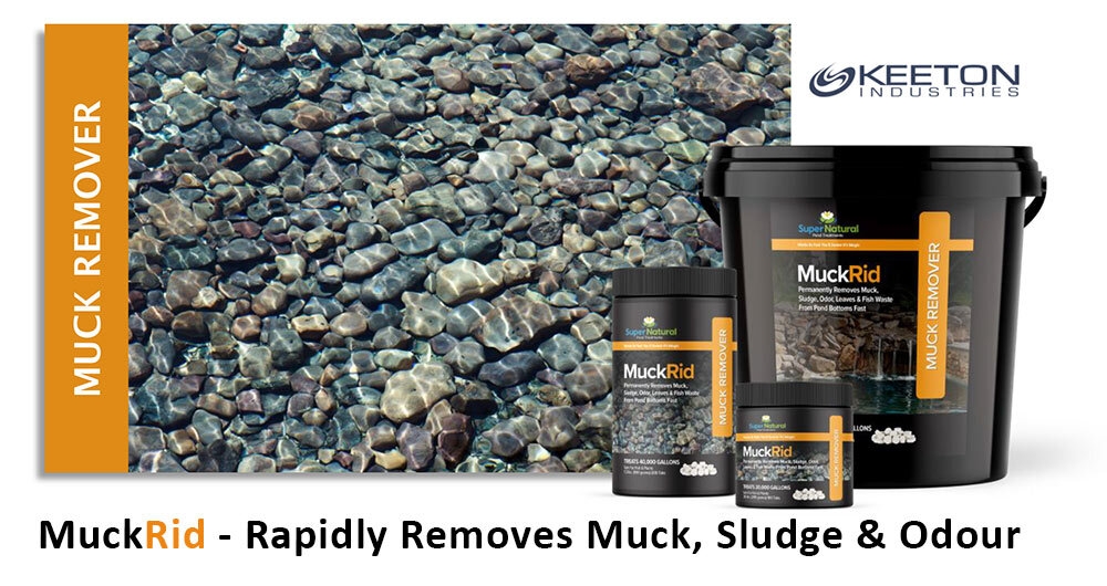 Vi sinh dị dưỡng Muckrid - Xử lý 17,99cm phân cá, thức ăn thừa, mùn hữu cơ