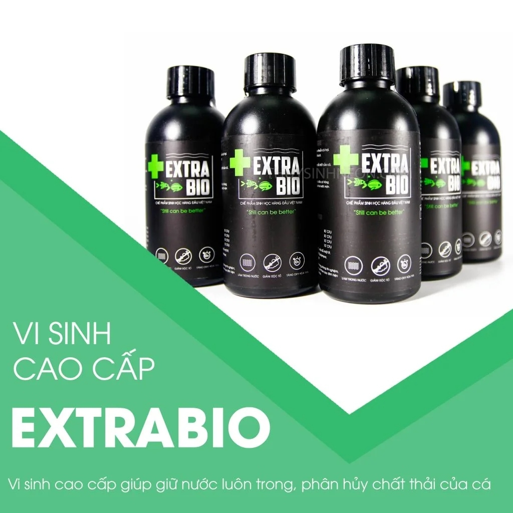 Men vi sinh EXTRA BIO - trong nước hồ cá, xử lý chất độc trong nước