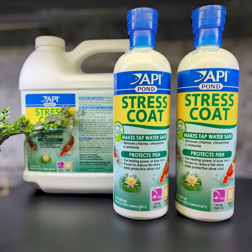 API Stress Coat Pond Giảm stress, khử độc tố và tạo nhớt cho cá cảnh