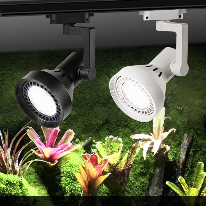 Đèn rọi ray bán cạn WRGB 45W giúp cây lên màu cực đẹp