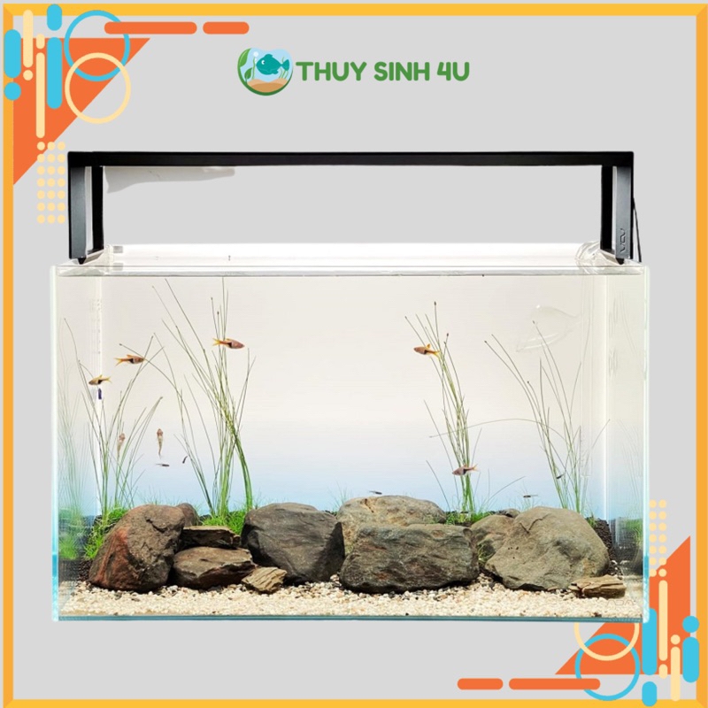 Bể kính siêu trong 30, 35, 40, 45, 50, 60 dán dấu keo hàng đẹp
