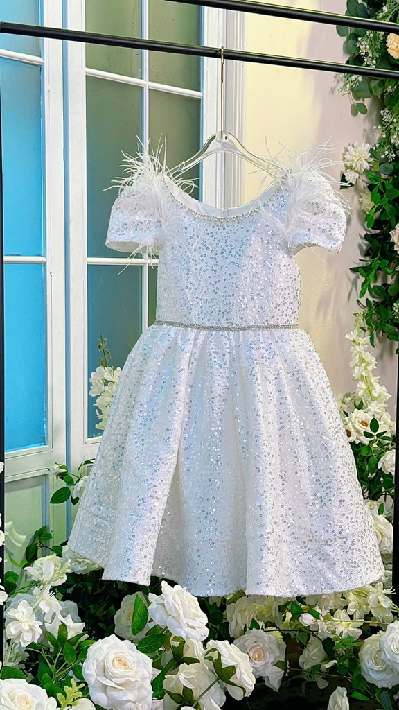 Váy Công Chúa Phát Sáng Cho Bé PS06