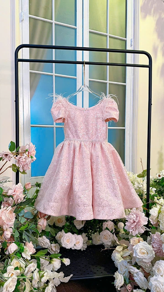 Váy Công Chúa Phát Sáng Cho Bé PS10