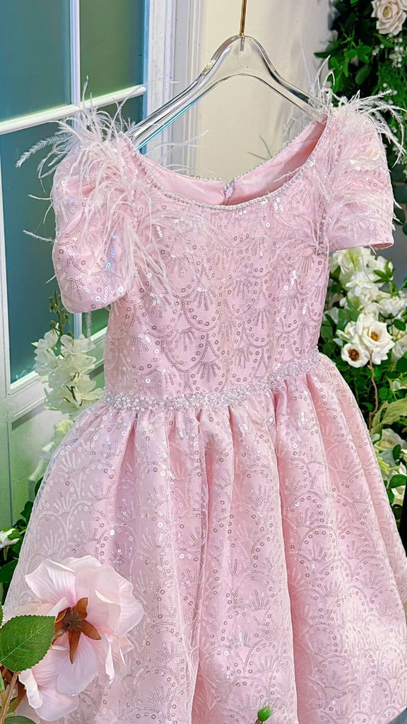 Váy Công Chúa Phát Sáng Cho Bé PS10