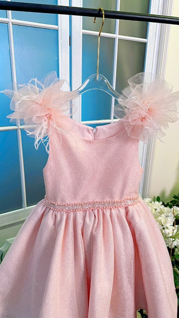 Váy Công Chúa Phát Sáng Cho Bé PS11