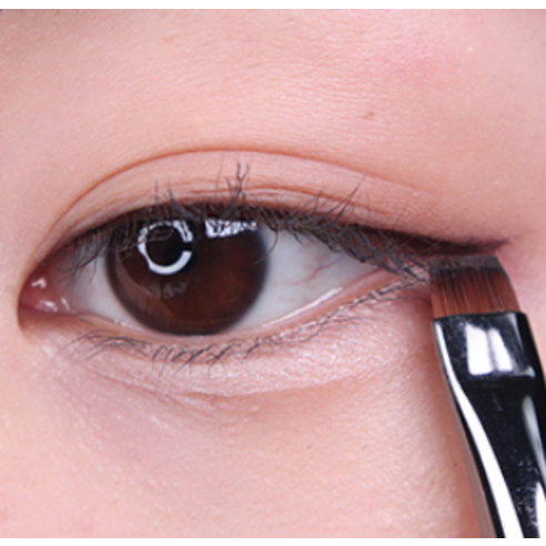 Cọ kẻ mắt Picasso 798